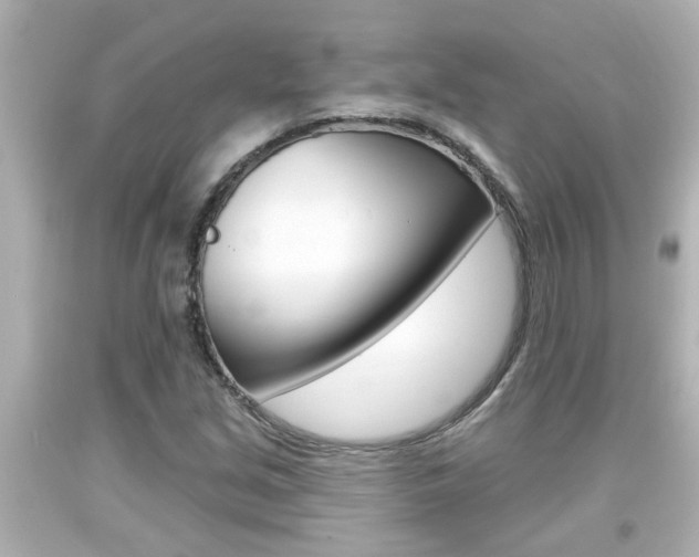 X0000094381213200711020817