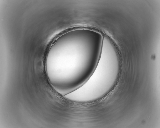 X0000094381214200711020817