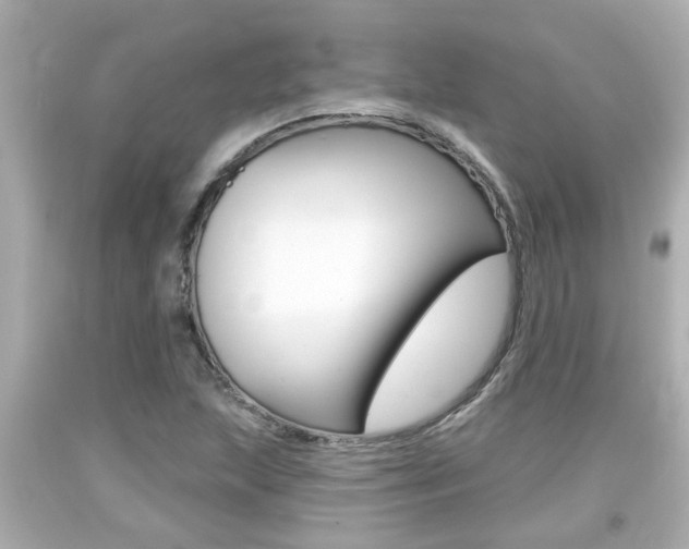 X0000094381215200711020817