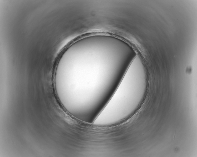 X0000094381216200711020817