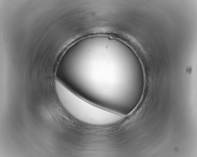 X0000094381217200711020817