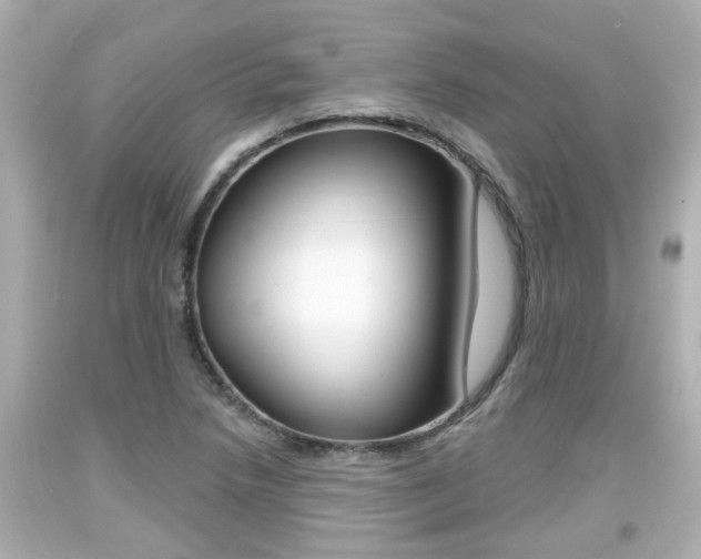 X0000094381218200711020817