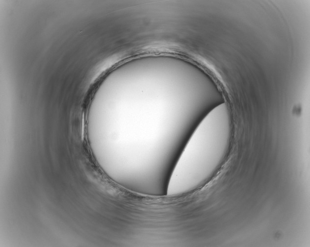 X0000094381219200711020817
