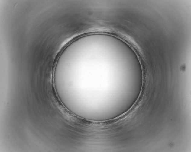 X0000094381220200711020817