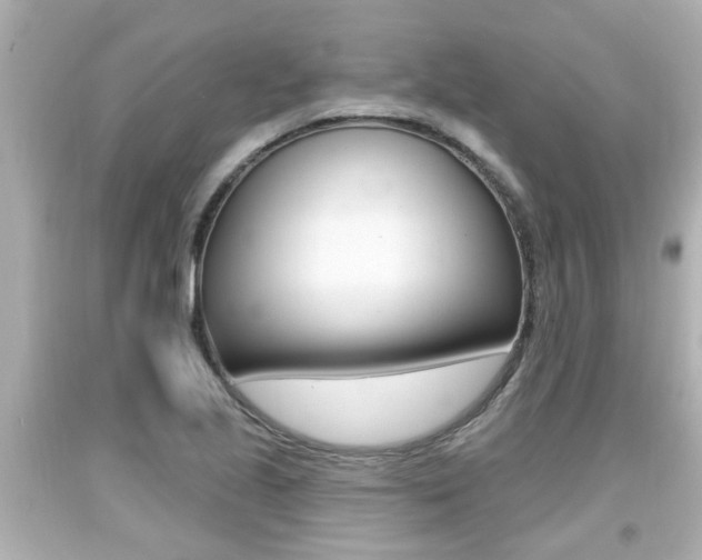 X0000094381221200711020817
