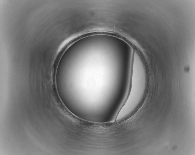 X0000094381222200711020817