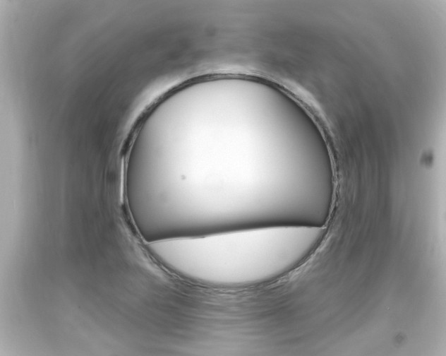X0000094381223200711020817
