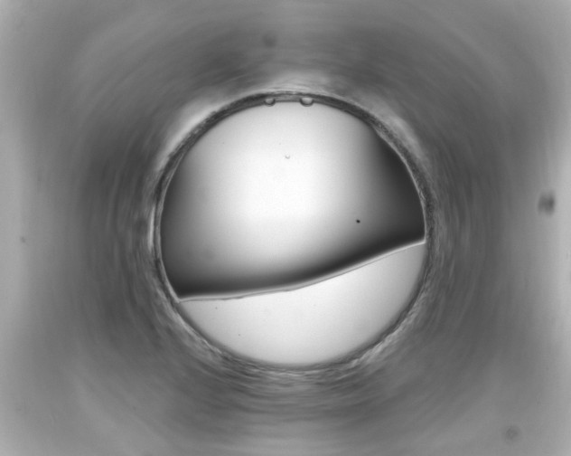 X0000094381224200711020817