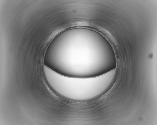 X0000094381225200711020817