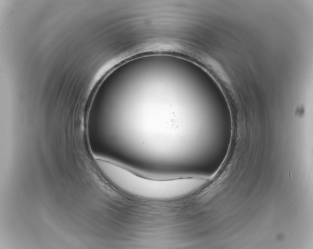 X0000094381226200711020817