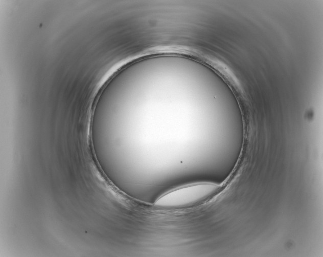 X0000094381228200711020817