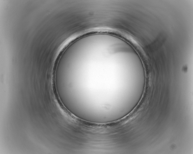 X0000094381229200711020817