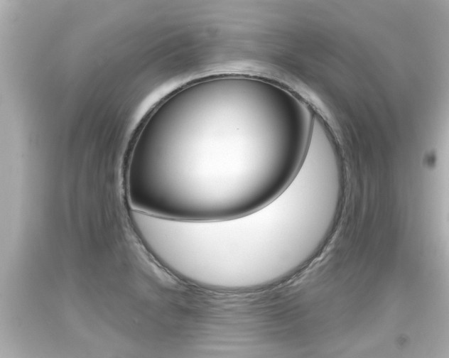 X0000094381230200711020817