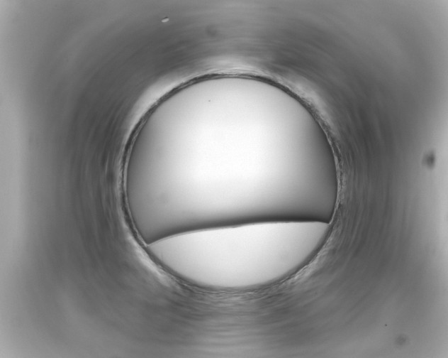 X0000094381231200711020817