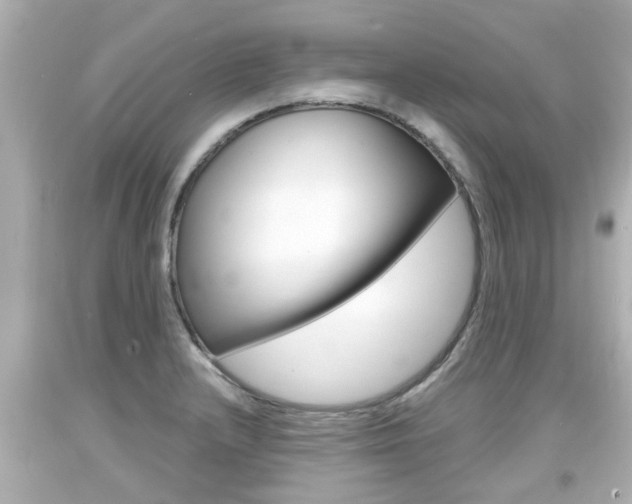 X0000094381232200711020817