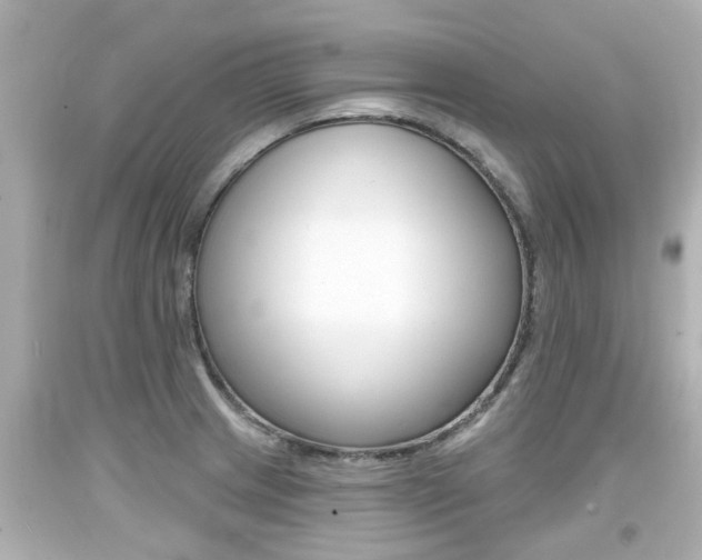 X0000094381233200711020817
