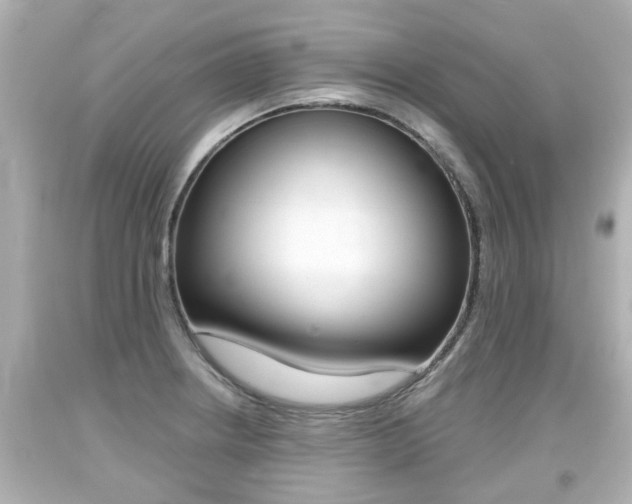 X0000094381234200711020817