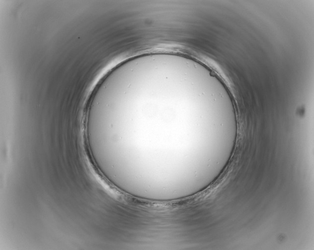 X0000094381235200711020817
