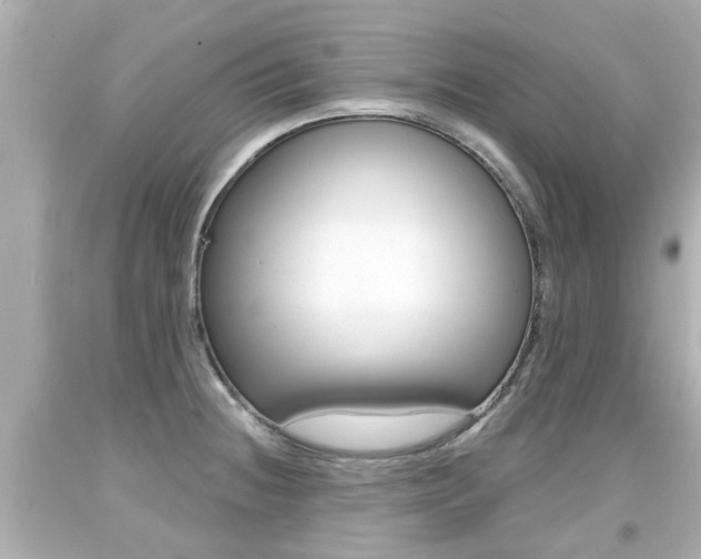 X0000094381236200711020817