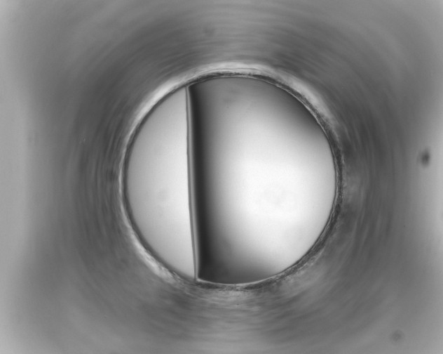 X0000094381237200711020817