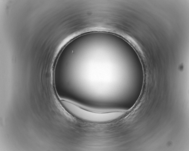 X0000094381238200711020817