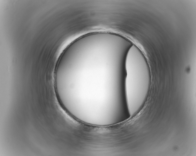 X0000094381239200711020817