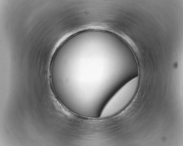 X0000094381240200711020817