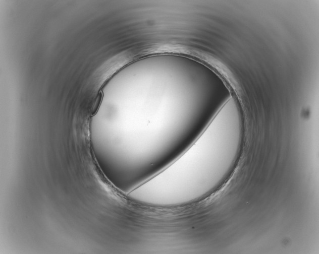 X0000094381241200711020817
