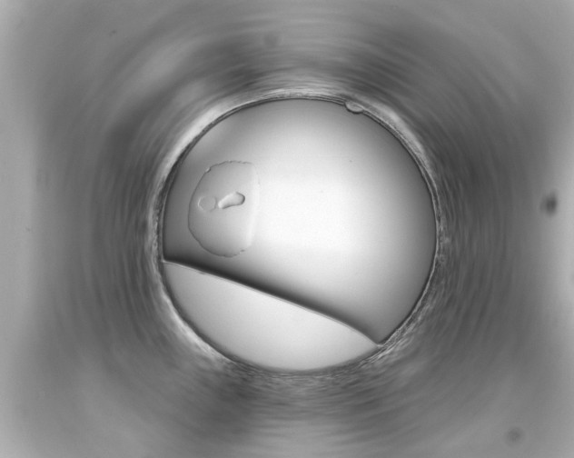X0000094381243200711020817