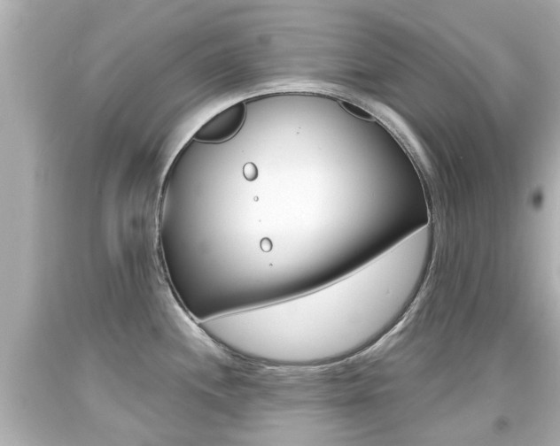 X0000094381244200711020817