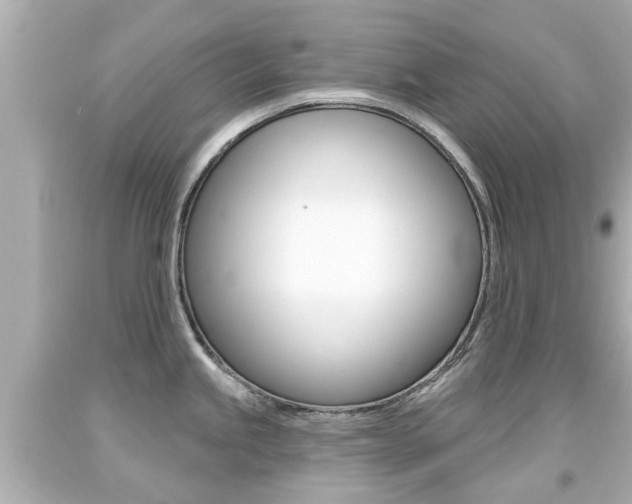 X0000094381245200711020817