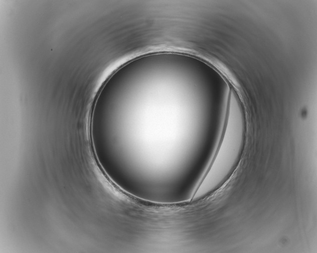 X0000094381246200711020817