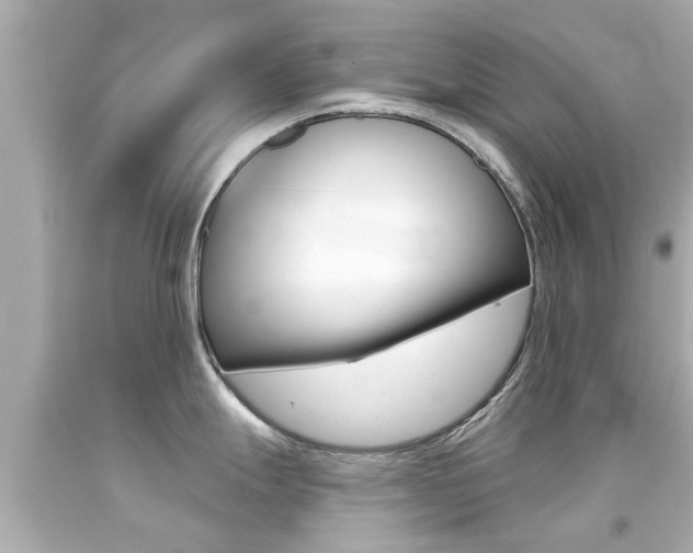 X0000094381247200711020817