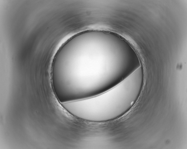 X0000094381248200711020817