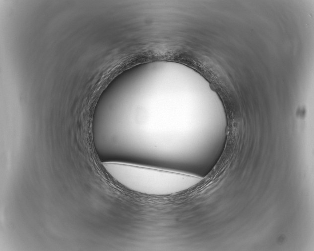 X0000094381249200711020816