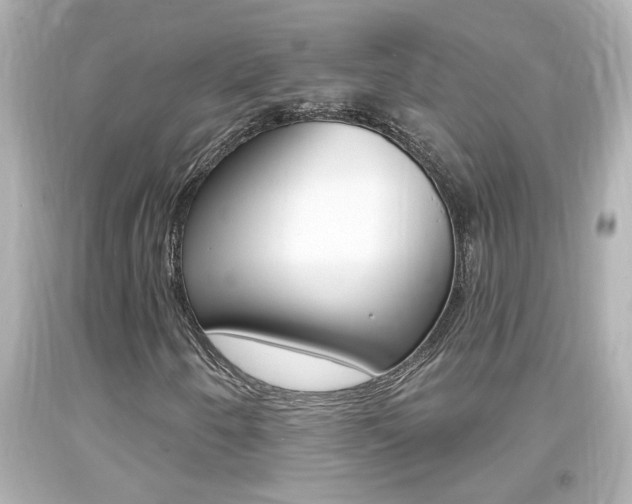 X0000094381250200711020816