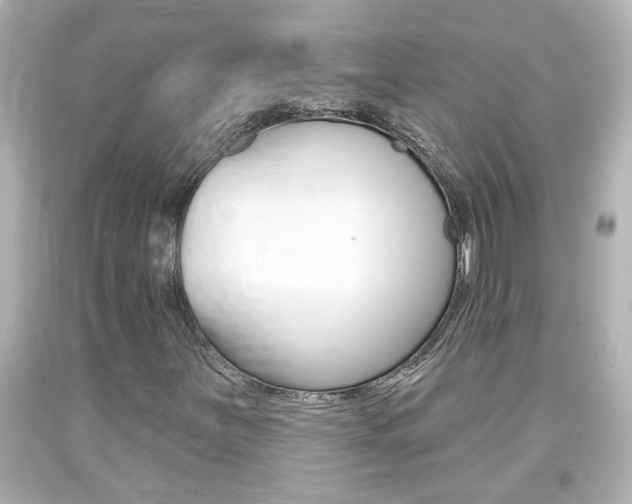 X0000094381251200711020816