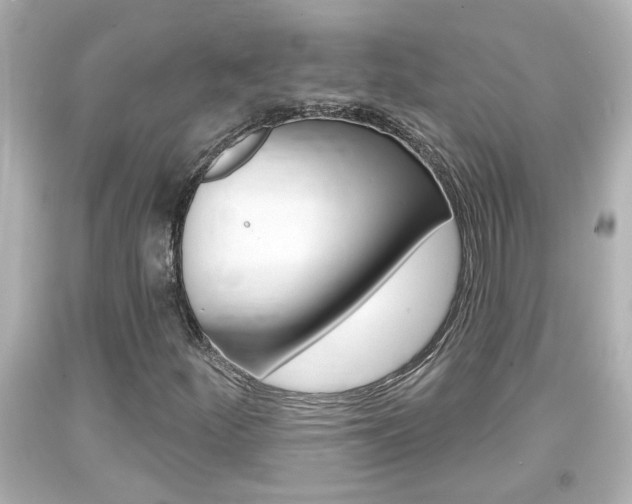 X0000094381252200711020816