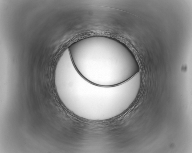 X0000094381253200711020816
