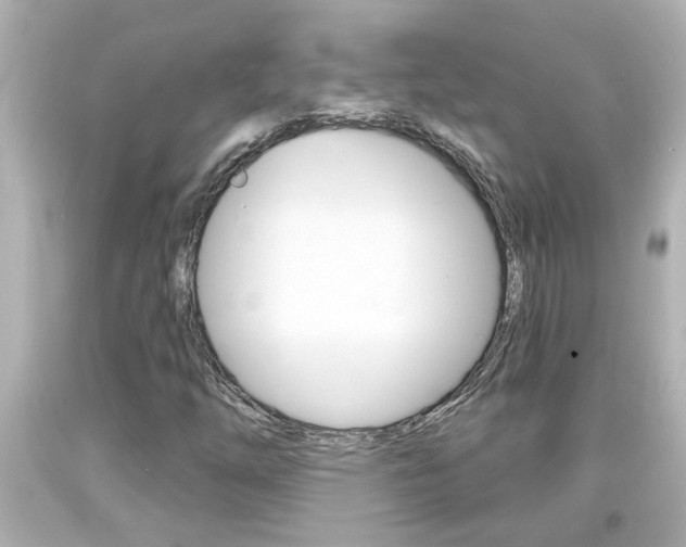 X0000094381254200711020816