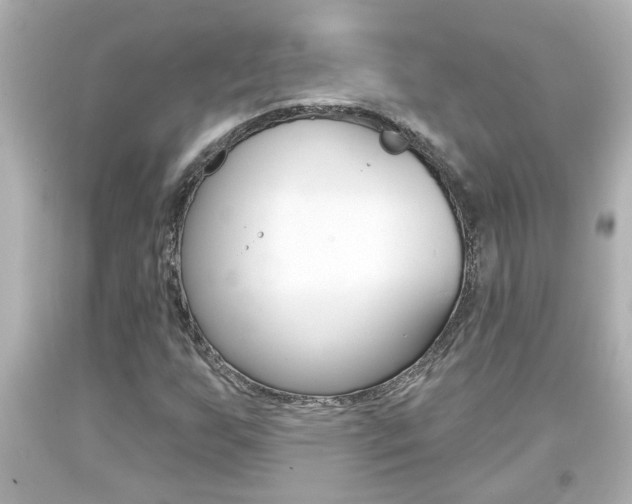 X0000094381255200711020816