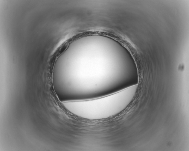 X0000094381256200711020816