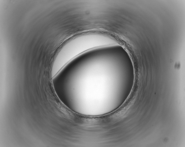 X0000094381257200711020816