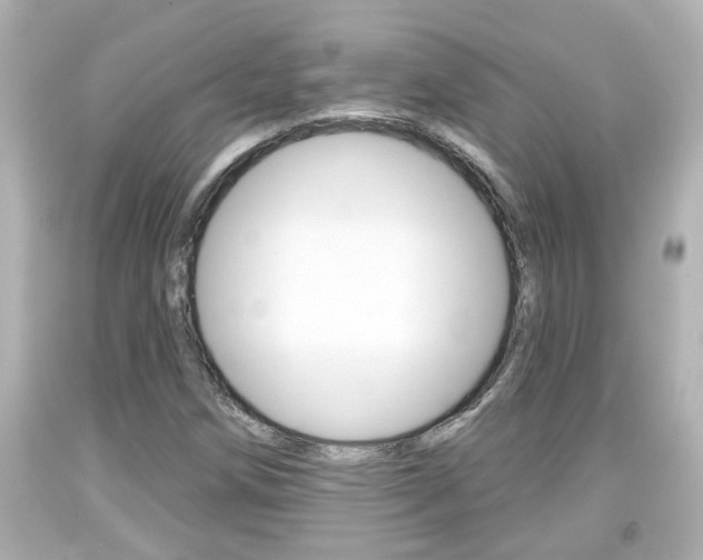 X0000094381258200711020816
