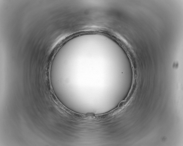 X0000094381259200711020816