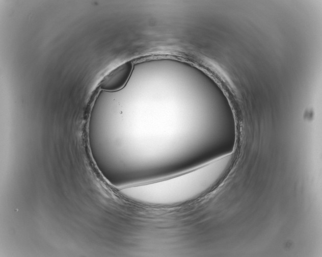 X0000094381260200711020816