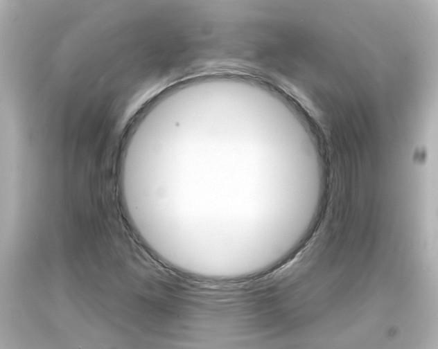 X0000094381261200711020816