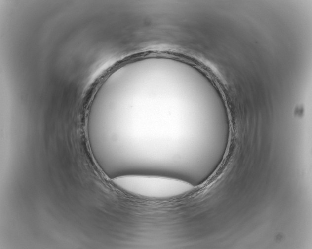 X0000094381263200711020816