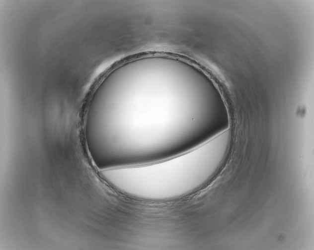 X0000094381264200711020816