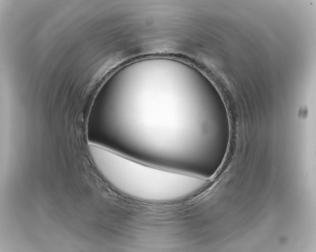 X0000094381265200711020816